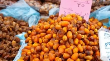 سعر كيلو 40 جنيهًا.. تطورات أسعار البلح السيوي بمطروح خلال تعاملات السبت